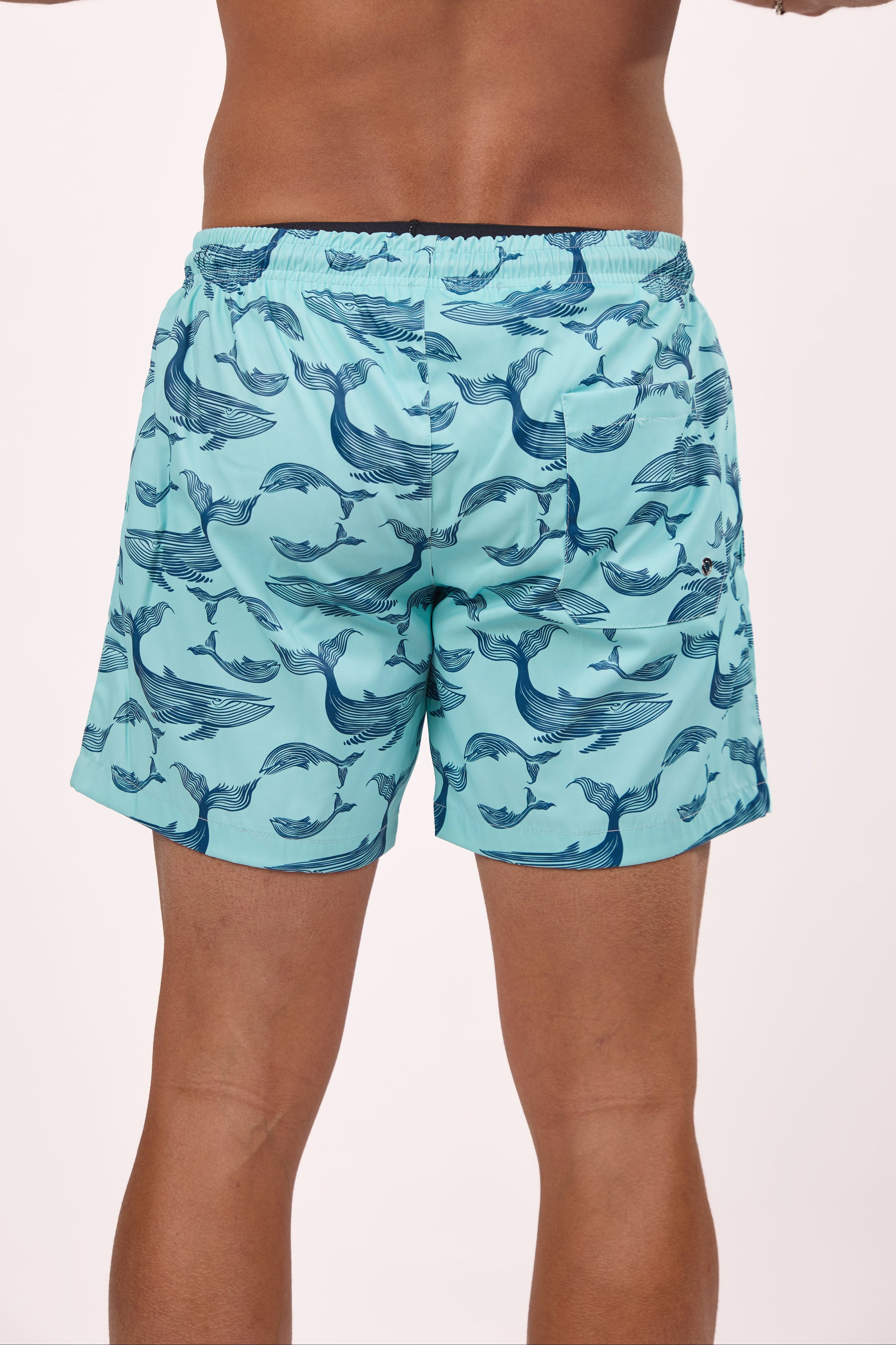 Ocean Blue Whale Swim shorts