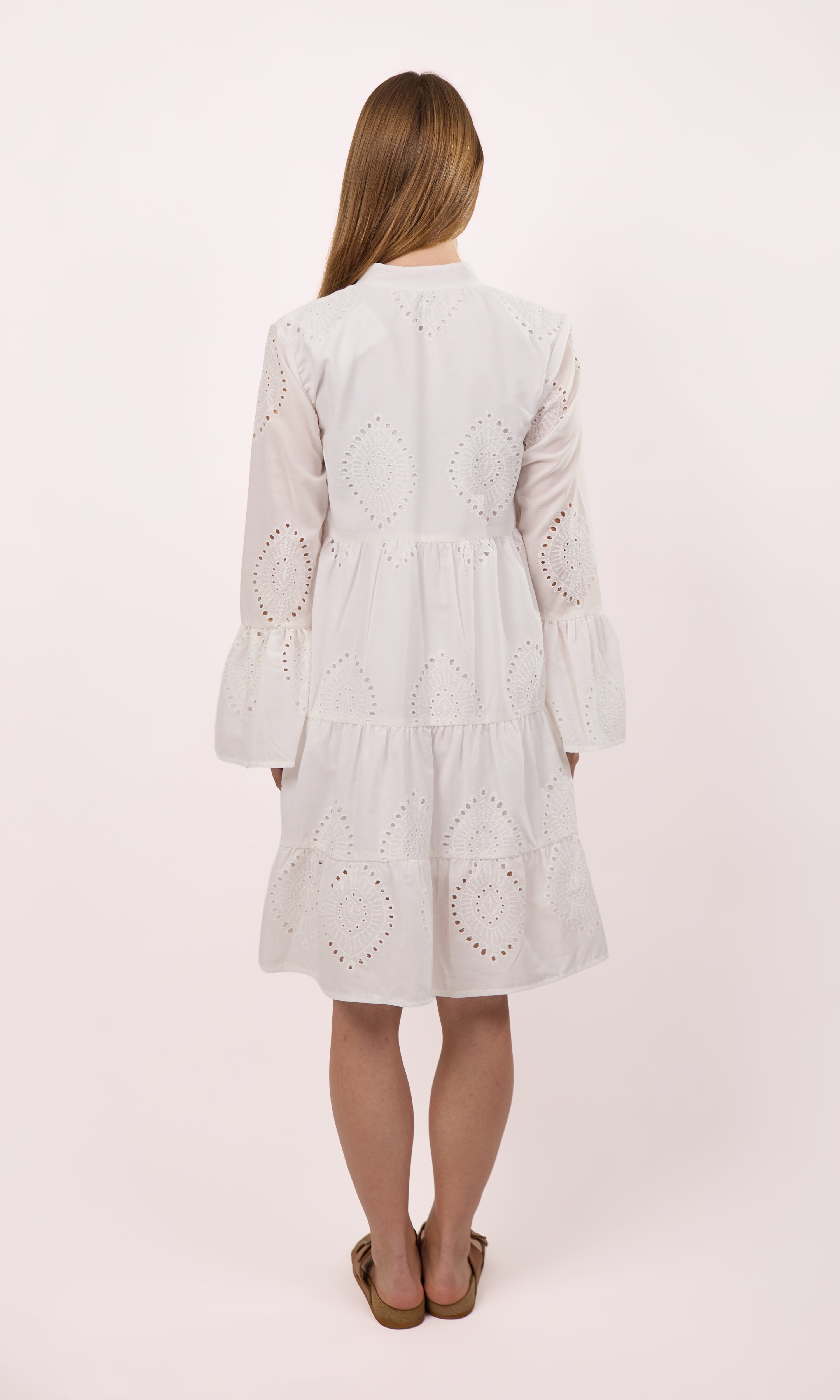 Long sleeve Embroidered dress