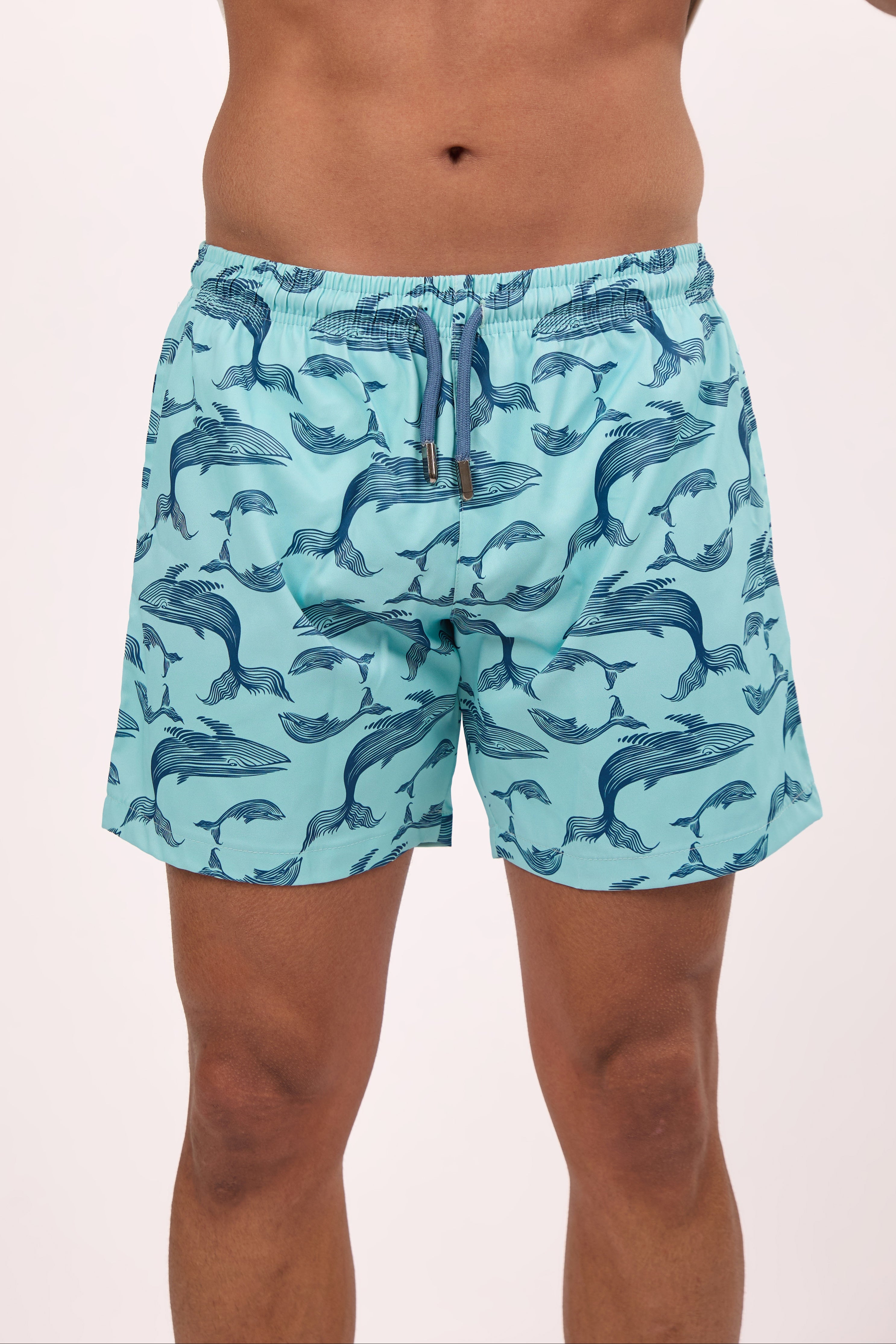 Ocean Blue Whale Swim shorts