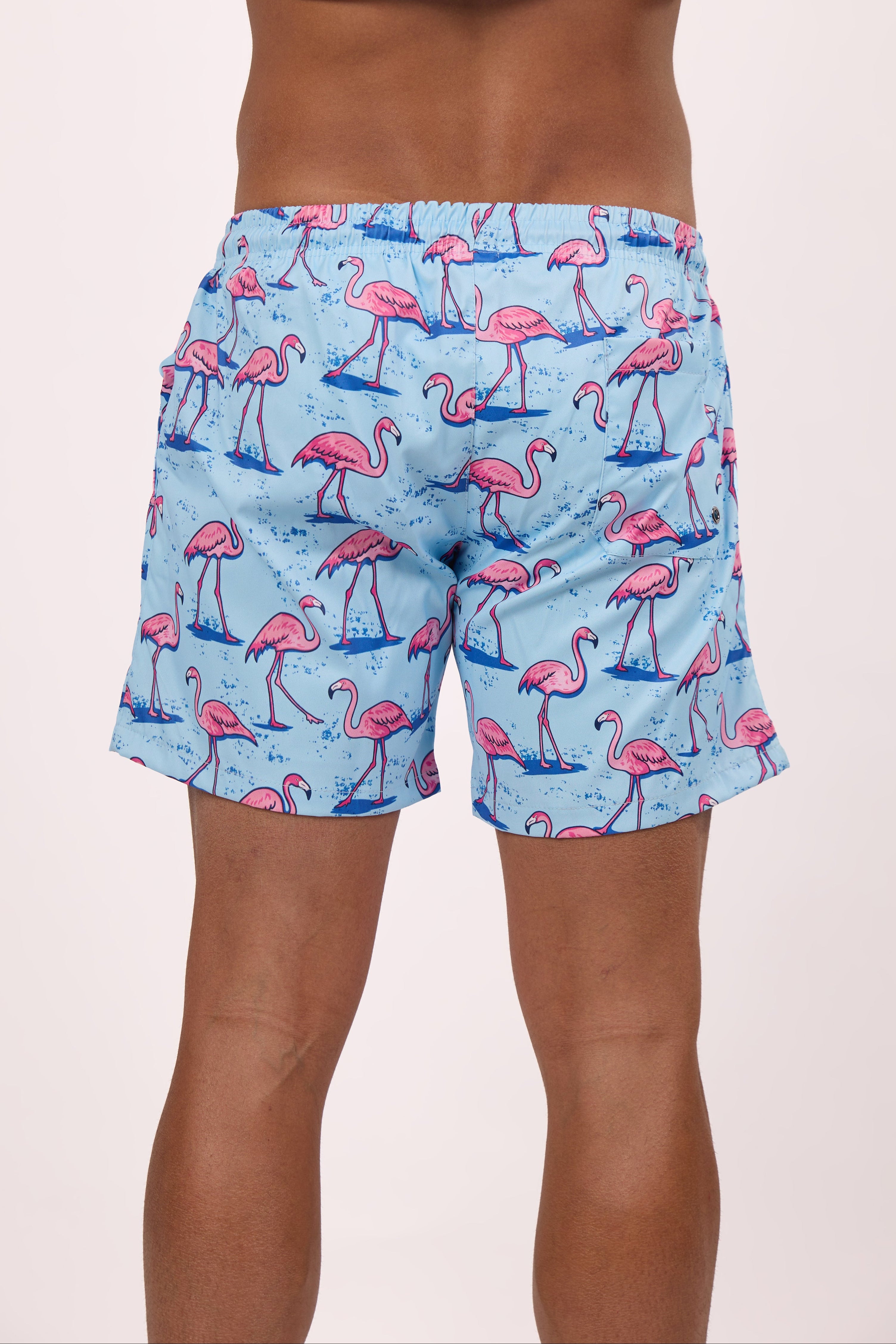 pink flamingo swim shorts