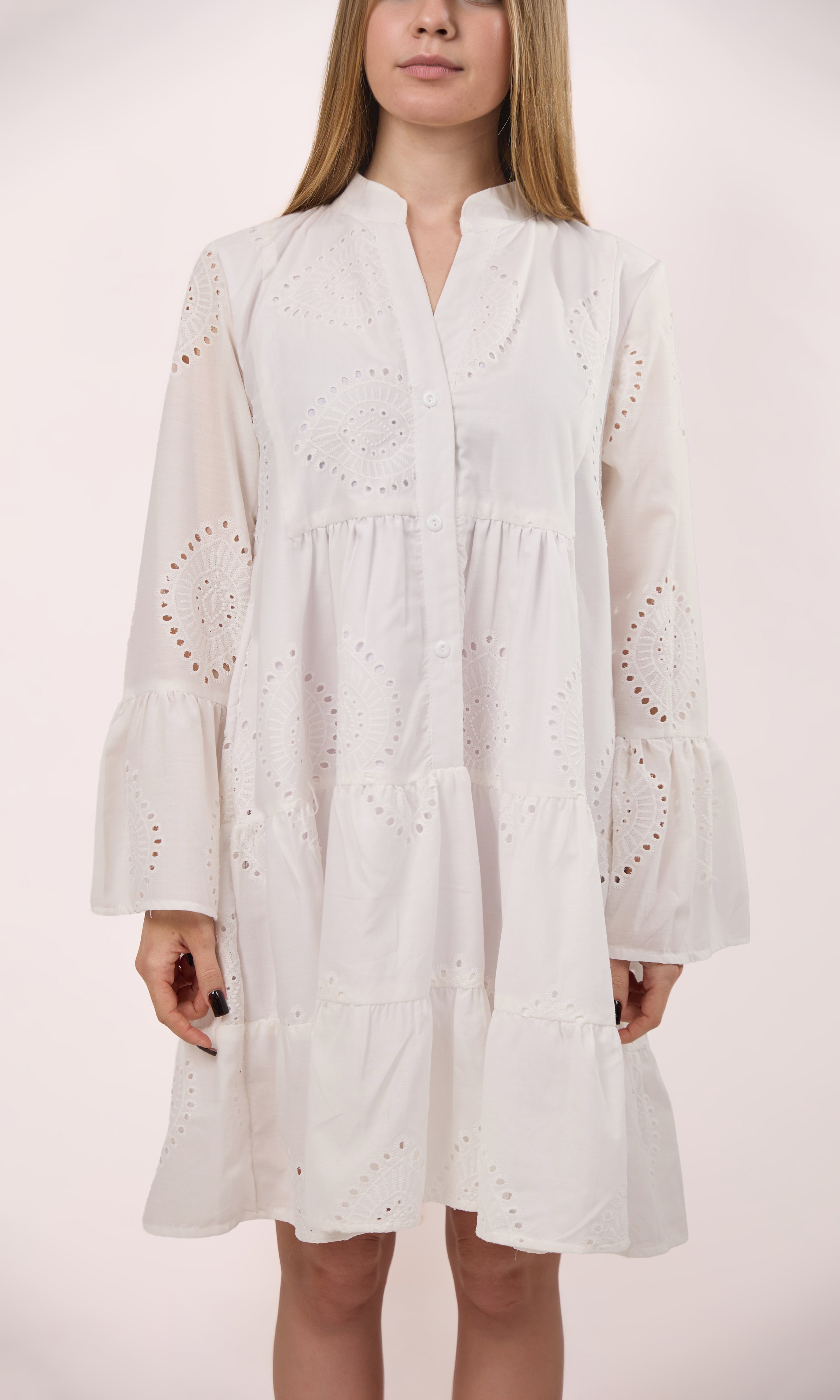 Long sleeve Embroidered dress