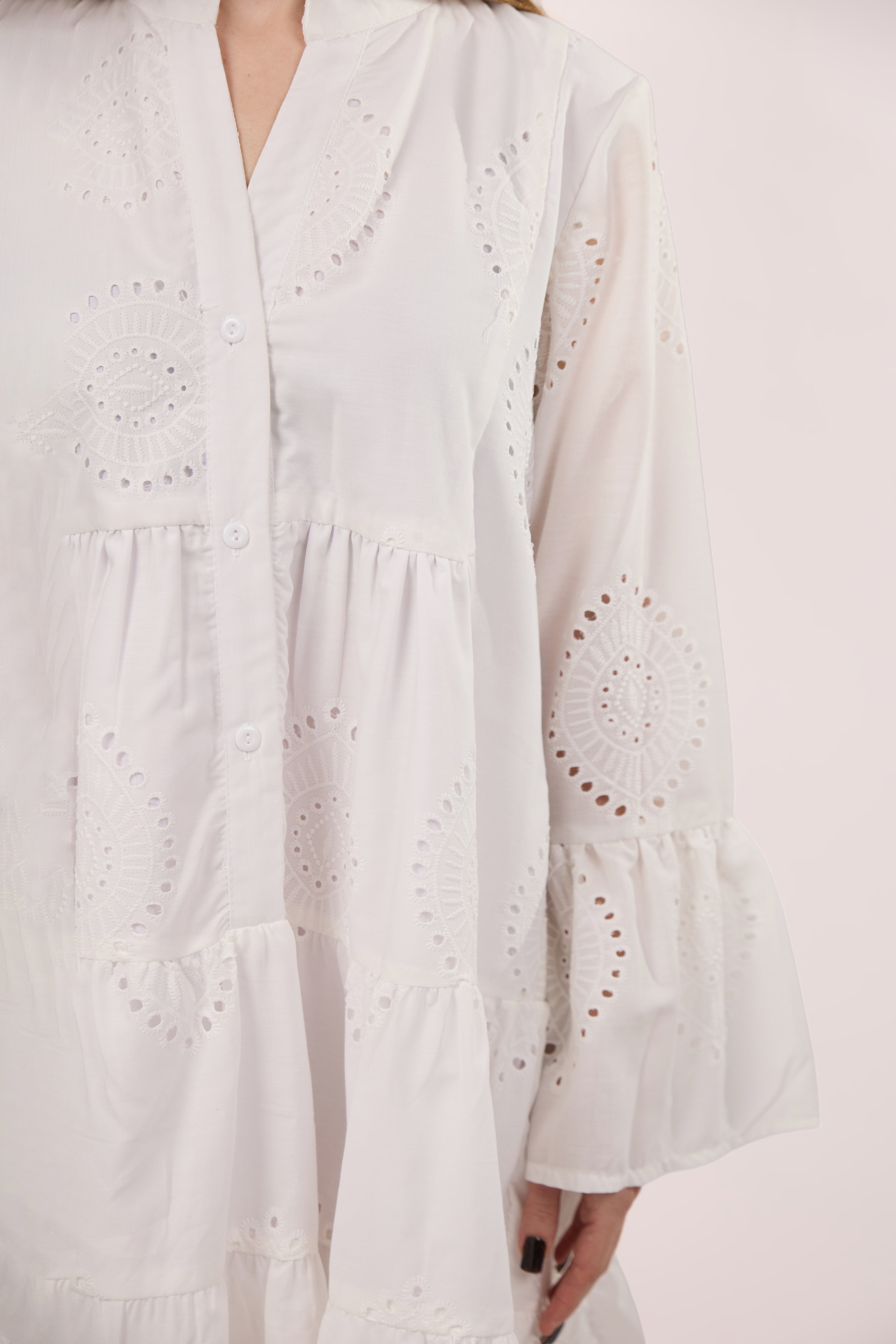 Long sleeve Embroidered dress