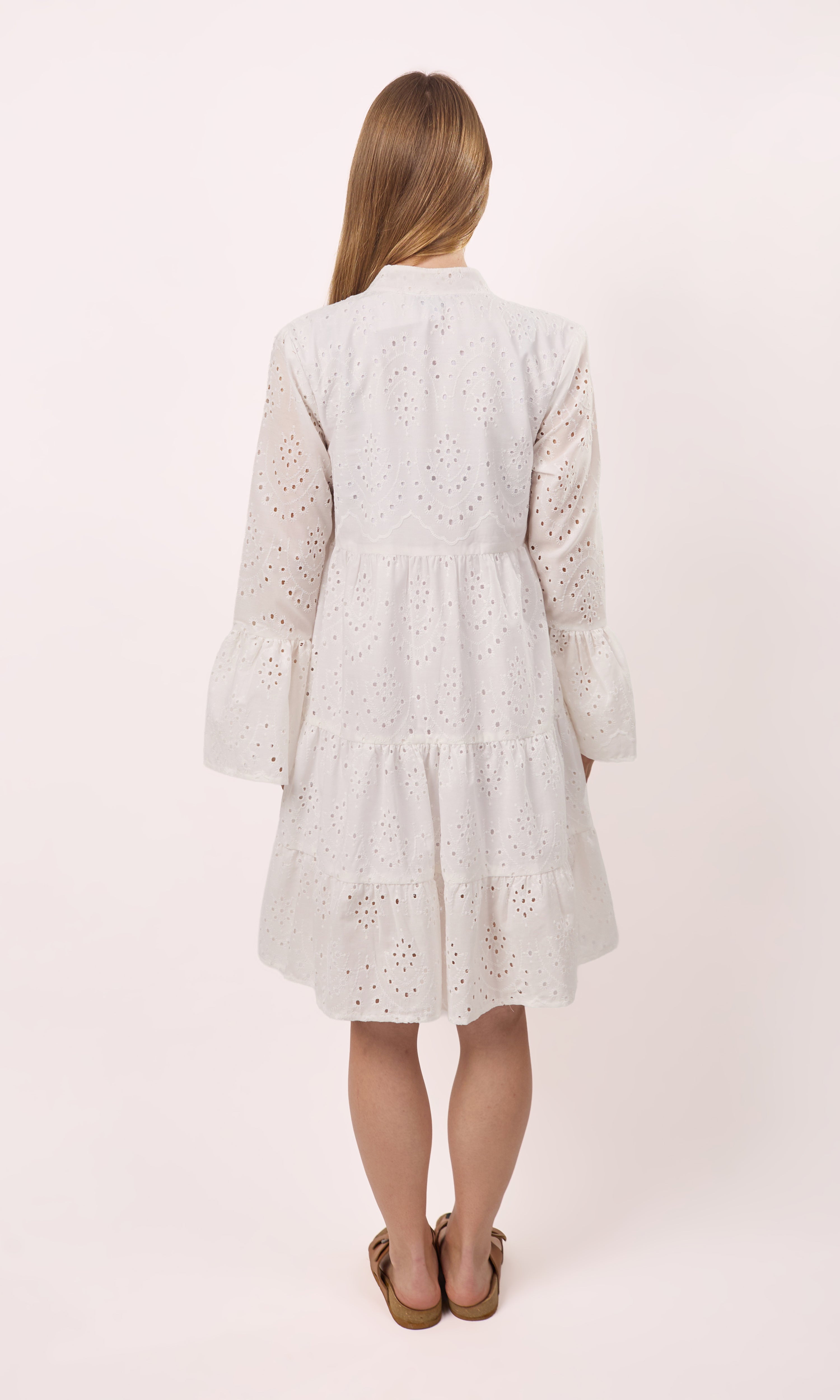 Long sleeve Embroidered dress